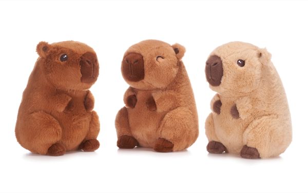 (Mis 3+) CAPIBARA Peluche 22cm GIFT 3ass…x48